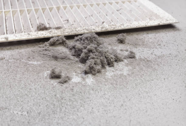 Best HVAC Duct Inspection Services  in Vinita Park, MO
