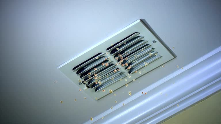HVAC System Cleaning in Vinita Park, MO